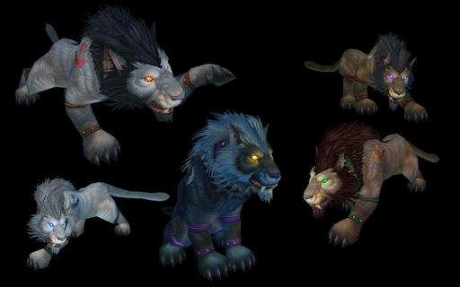World of Warcraft - Медведо-Тролли и Кото-Волки