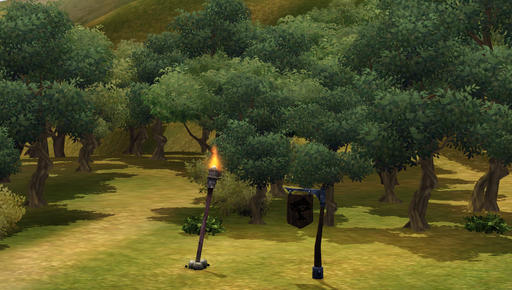 Sims Medieval, The - Конкурс «Я - Король» Дело вкуса.